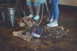 Read more about the article Find Out About Our Recent Events!