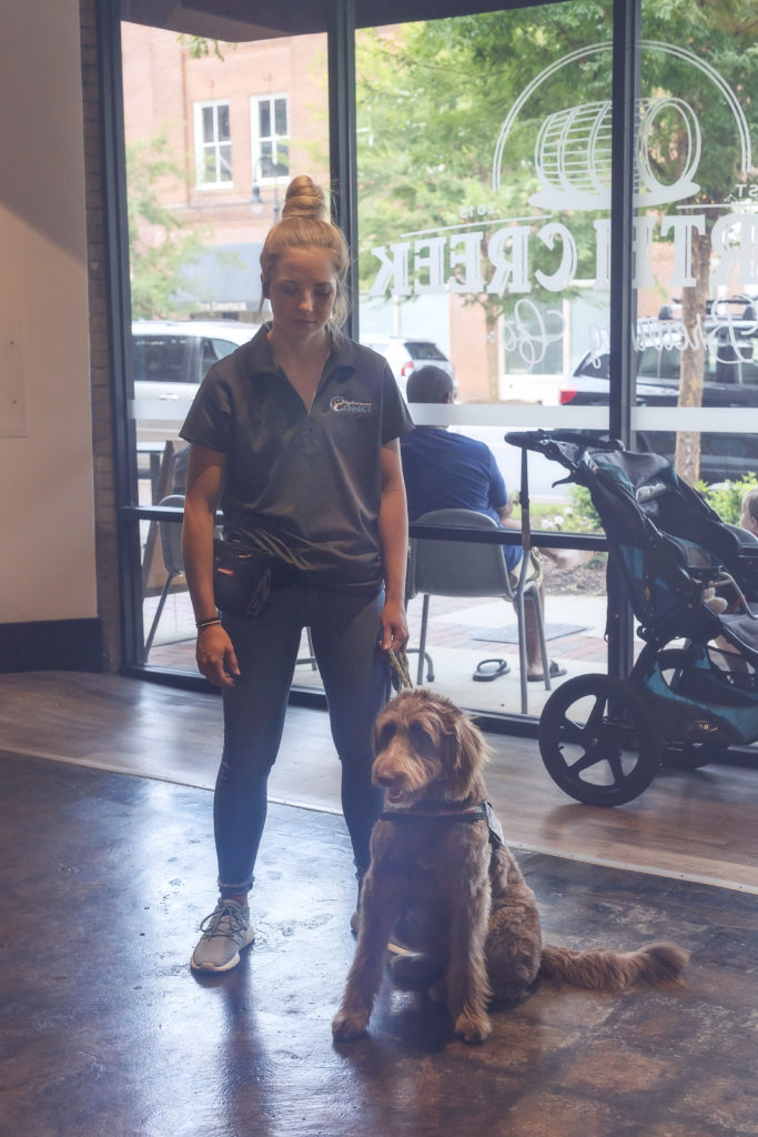 volunteer and service dog