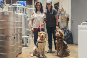 Read more about the article Learn About Highland Canine Connect on National Non-Profit Day!