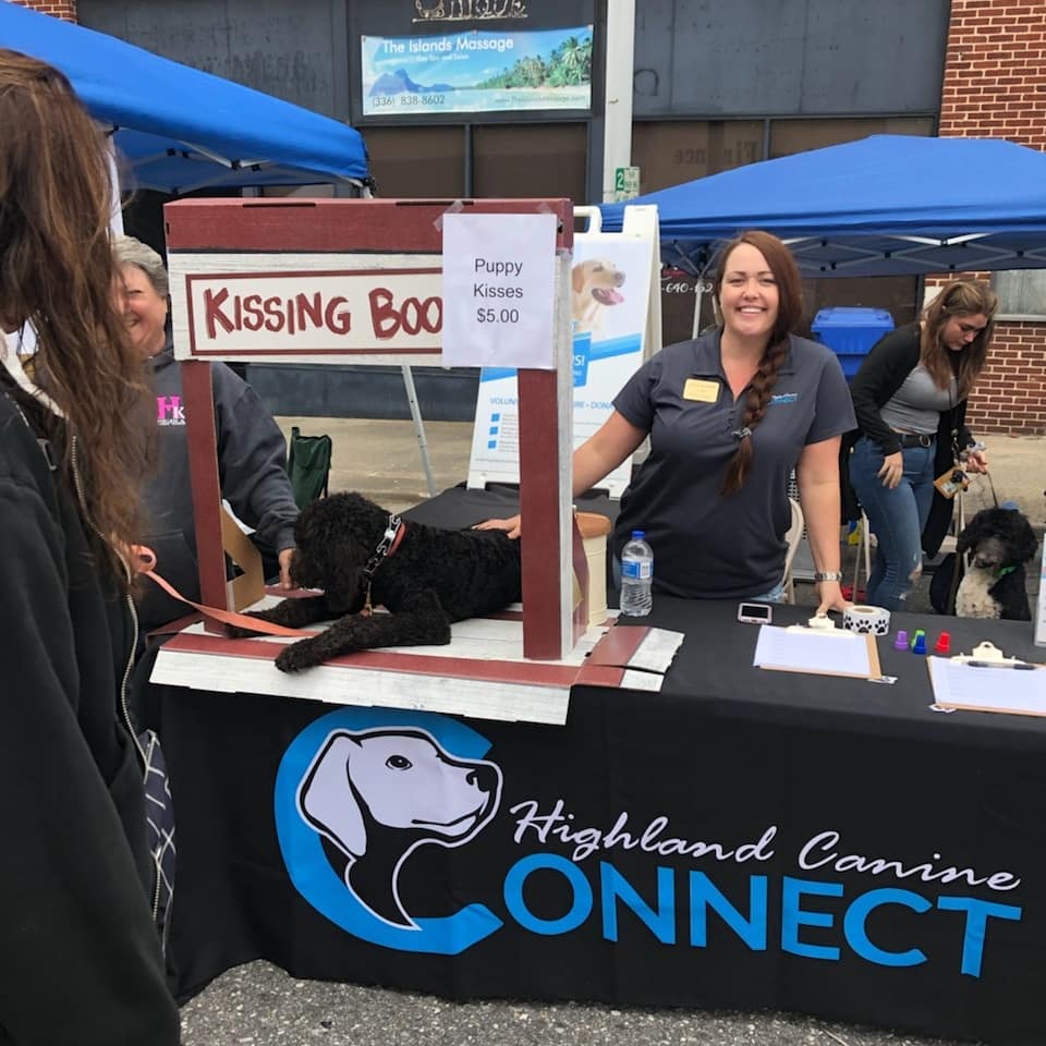 brushy mountain apple fest