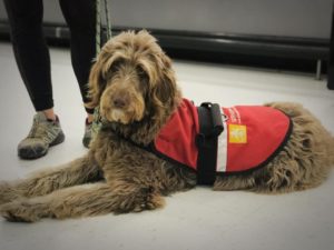 Read more about the article #GivingTuesday – Make A Difference on November 30th