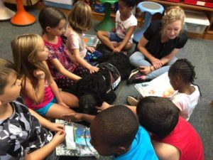 Read more about the article How to volunteer with Highland Canine Connect!