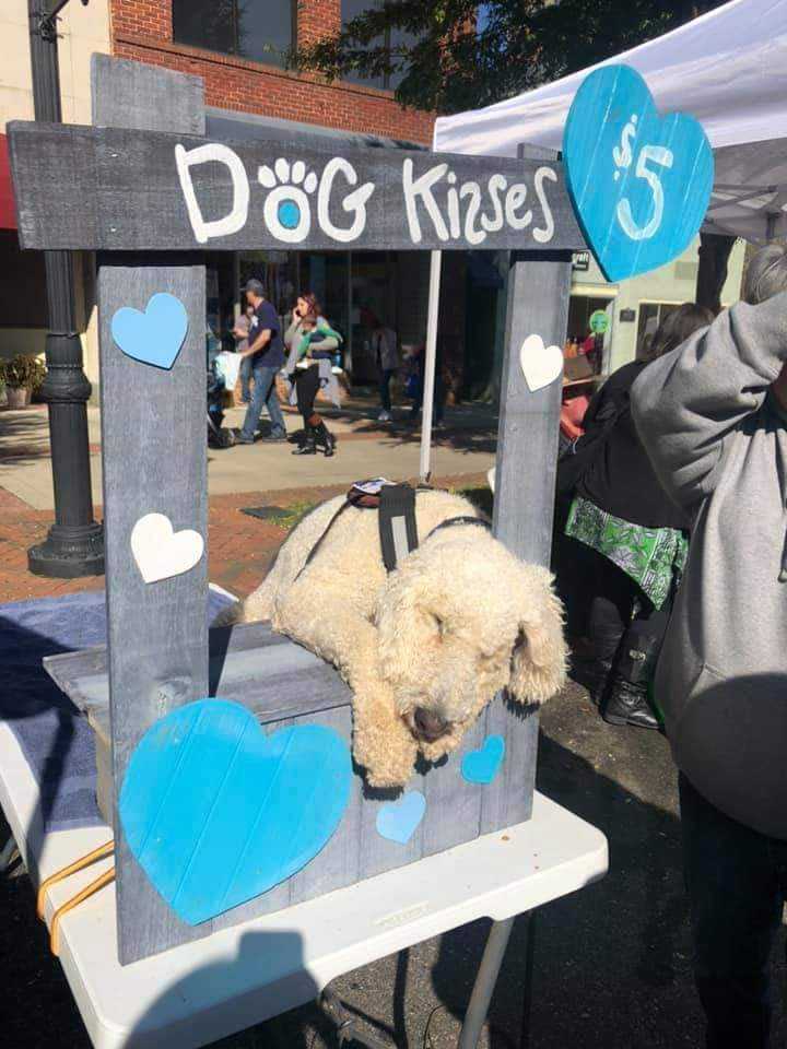 fundraising booth highland canine connect