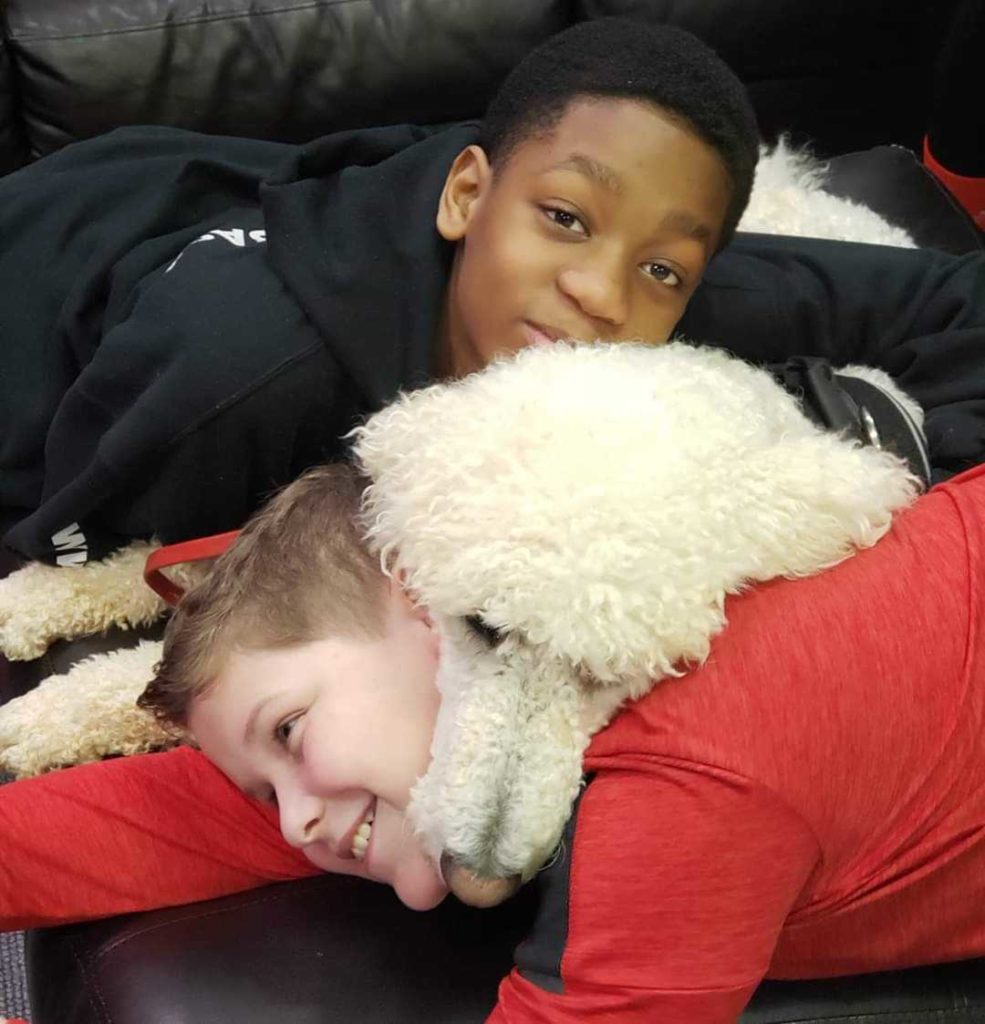 reading program for children with poodle