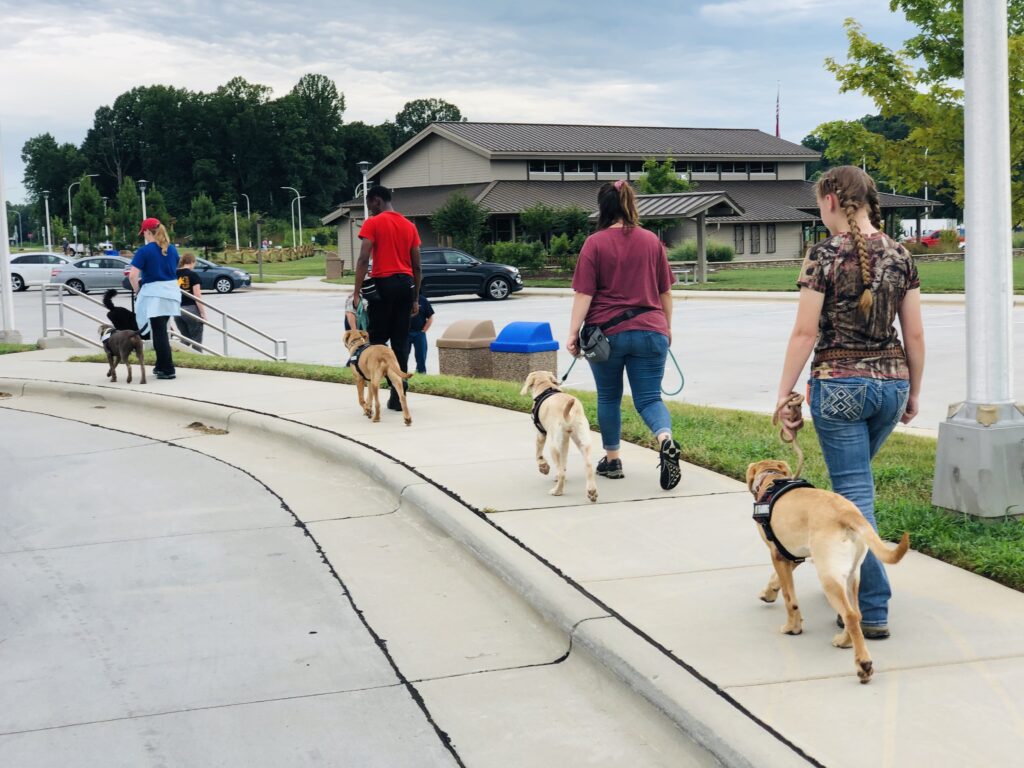 volunteers socializing dogs