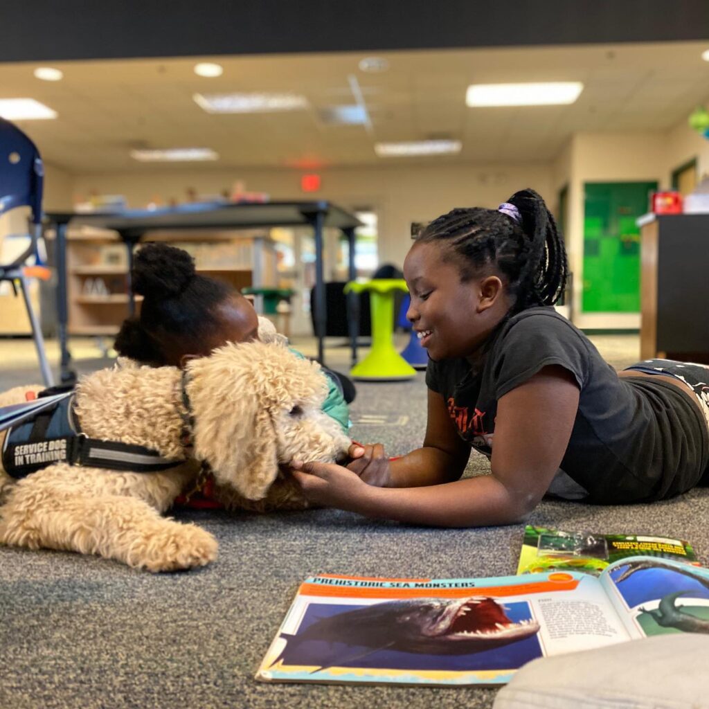 service dog in training with school child