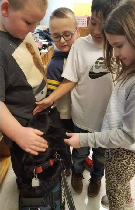 dogs petting service dog in training