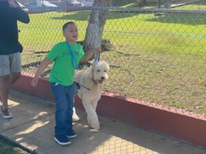 Read more about the article Learn About Highland Canine Connect’s Recent Service Dog Delivery In Puerto Rico
