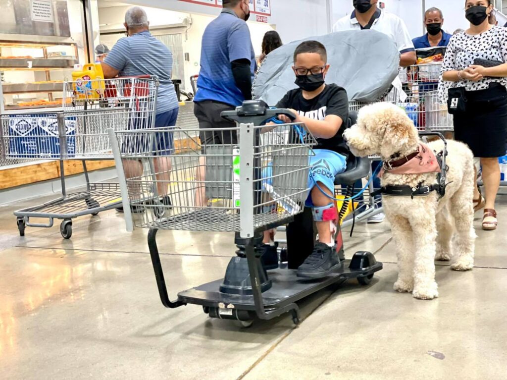 jaziel in scooter with tucson mobility service dog