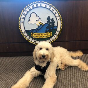 Read more about the article How Deputy K-9 Kora Is Making A Difference In Buncombe County
