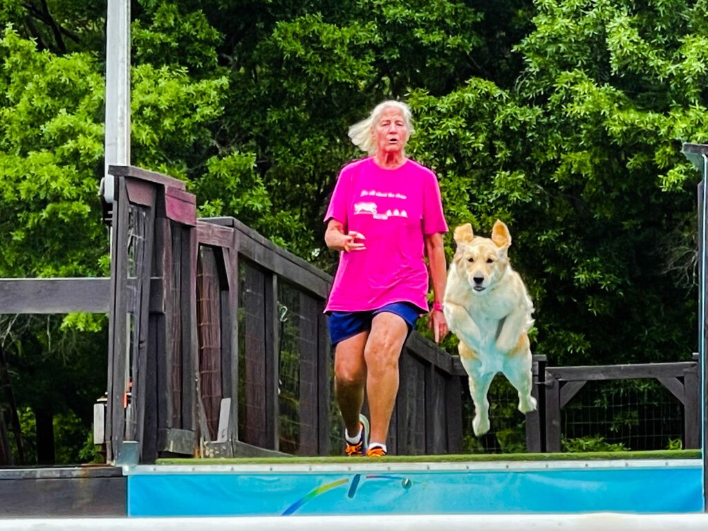 dock diving event and dog demonstrations