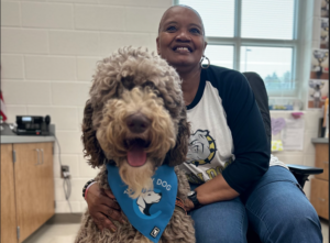 Read more about the article Highland Canine Connect Launches Essay Contest