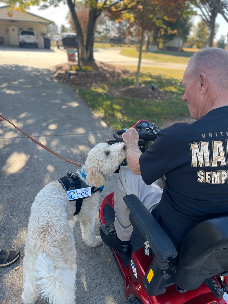 dale wilson and beau goldendoodle
