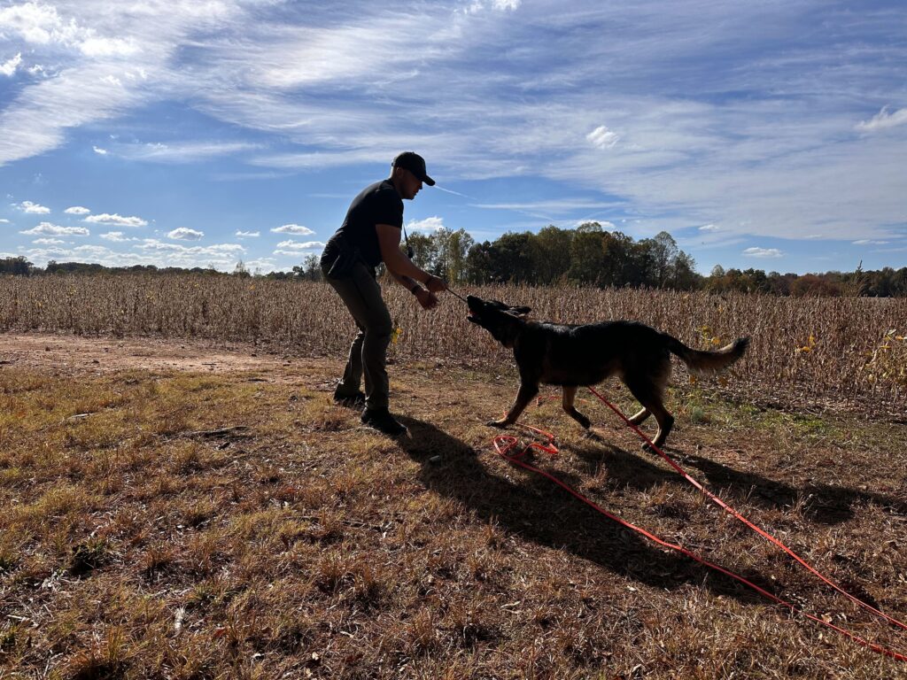 officer ebke and k9 jasper
