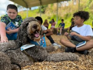 Read more about the article The Importance Of Volunteering