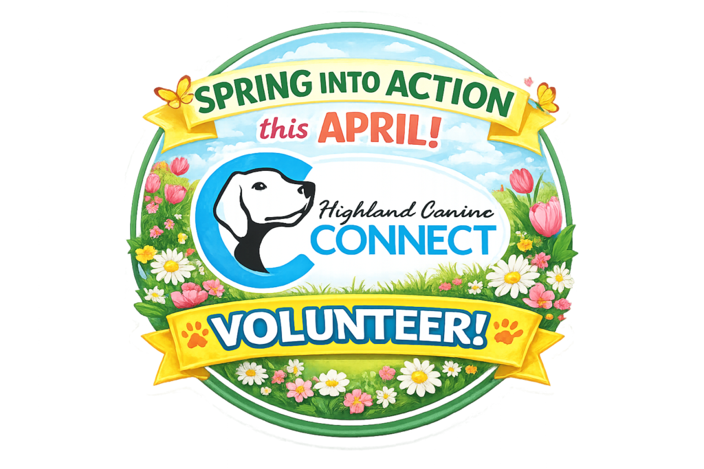 spring volunteer image